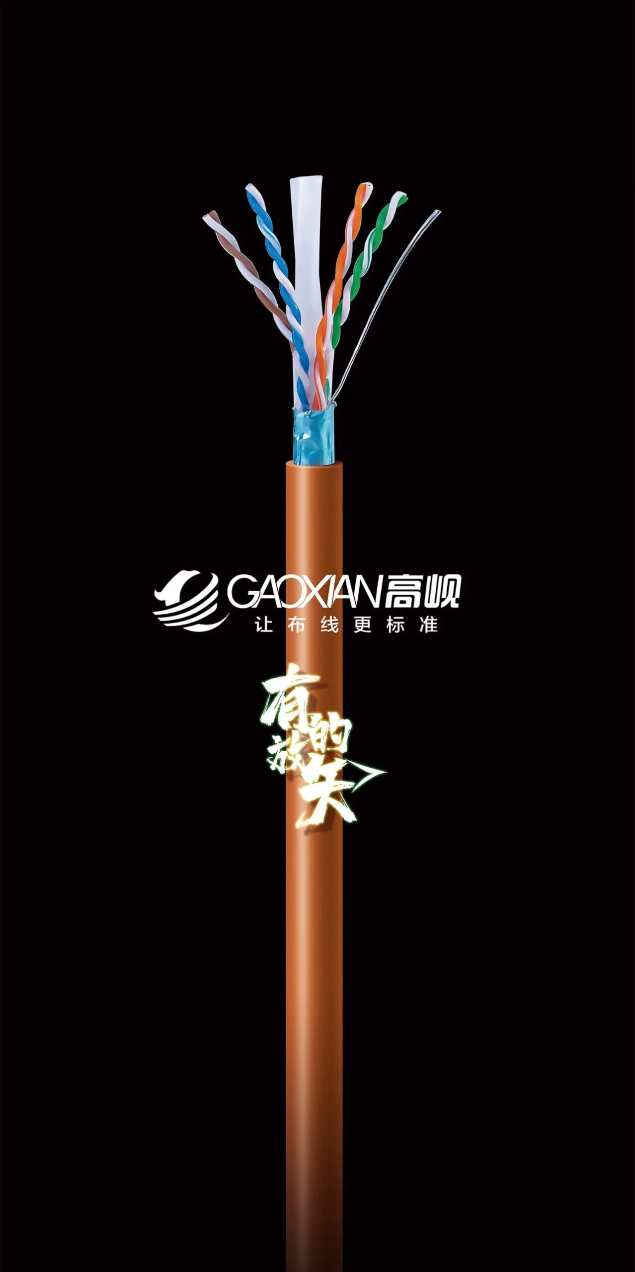 超六类屏蔽网线 GXCAT6A-058FW